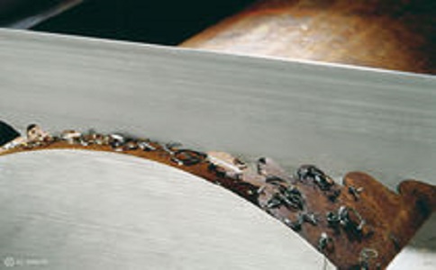 璧山带锯床线速度设定过高，为什么会导致带锯条齿尖发热加速锯条的磨损？